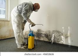 Best Mold Damage Restoration  in South San Gabriel, CA